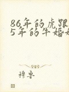 86年的虎跟85年的牛婚姻