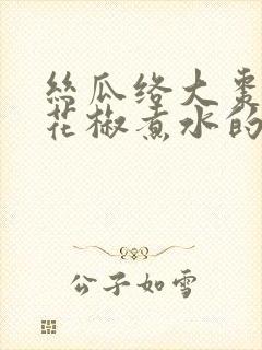 丝瓜络大枣生姜花椒煮水的功效