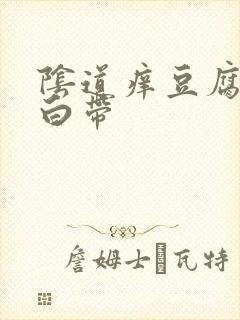 阴道痒豆腐渣样白带