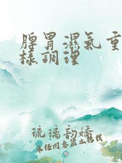 脾胃湿气重应怎样调理