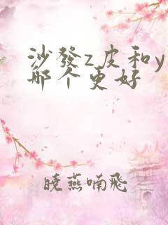 沙发z皮和y皮哪个更好