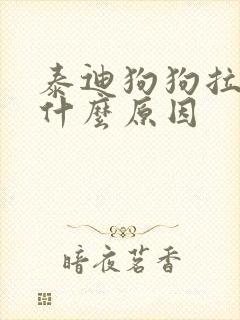 泰迪狗狗拉软便什么原因