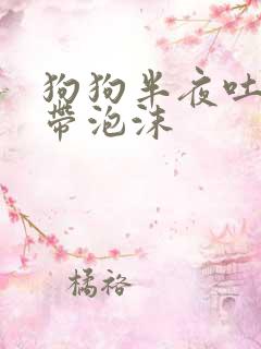 狗狗半夜吐黄水带泡沫