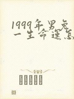 1999年男兔一生命运怎样