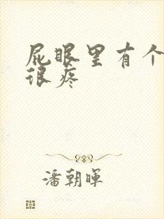 屁眼里有个疙瘩很疼