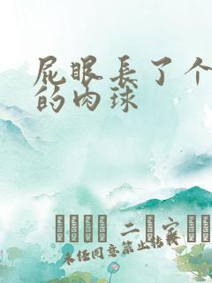 屁眼长了个很大的肉球