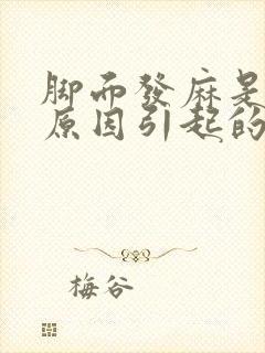 脚面发麻是什么原因引起的