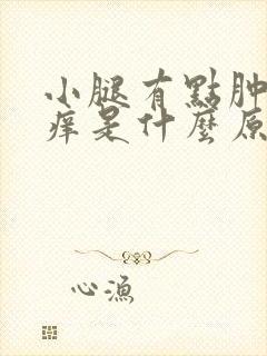 小腿有点肿有点痒是什么原因