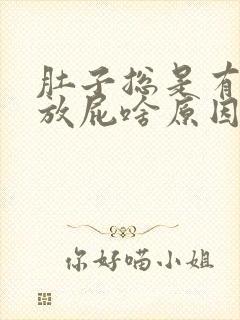 肚子总是有胀气放屁啥原因