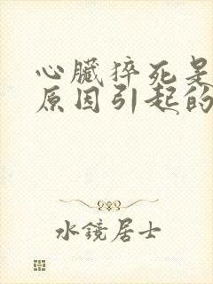 心脏猝死是什么原因引起的