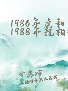 1986年虎和1988年龙相配婚姻如何