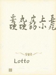 睾丸皮上长一个硬硬的小疙瘩