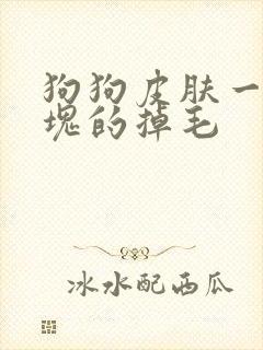 狗狗皮肤一块一块的掉毛