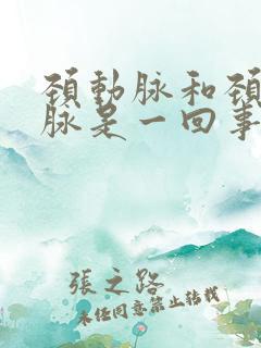 颈动脉和颈内动脉是一回事吗