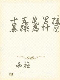 十五岁男孩脾气暴躁为什么