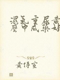 湿气重尿黄吃什么中成药好