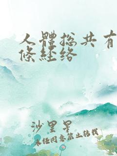 人体总共有多少条经络