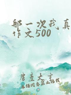 那一次我真勇敢作文500