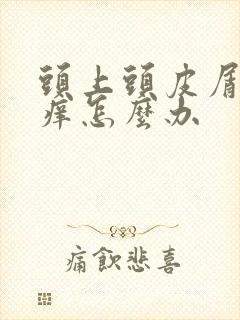 头上头皮屑多还痒怎么办