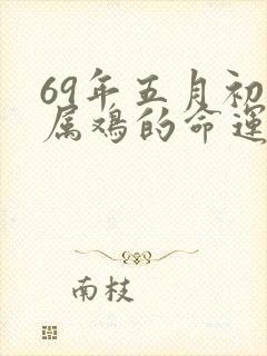 69年五月初八属鸡的命运