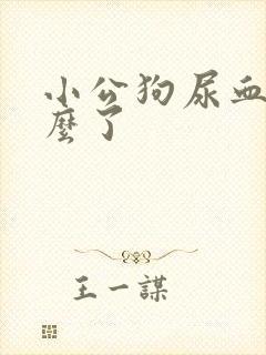 小公狗尿血是怎么了