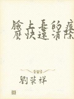 脸上长的痘痘怎么快速消除