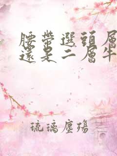 腰带选头层牛皮还是二层牛皮