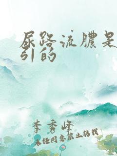 尿路流脓是什么引的