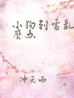 小狗到处乱尿怎么办