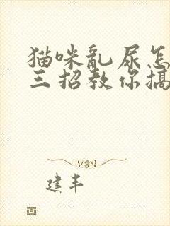 猫咪乱尿怎么办三招教你搞定烦恼