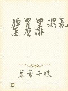 脾胃里湿气太重怎么排