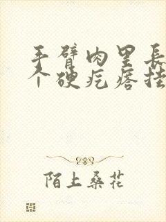 手臂肉里长了一个硬疙瘩挂什么科