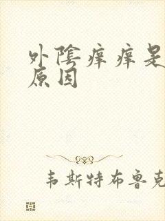 外阴痒痒是什么原因