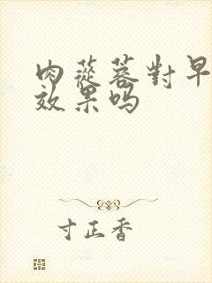 肉苁蓉对早射有效果吗