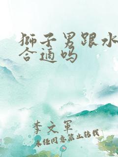 狮子男跟水瓶女合适吗