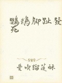 鹦鹉脚趾发黑坏死