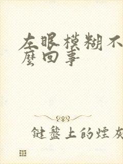 左眼模糊不清怎么回事