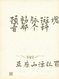 颈动脉斑块形成看哪个科