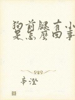 狗前腿有小疙瘩是怎么回事