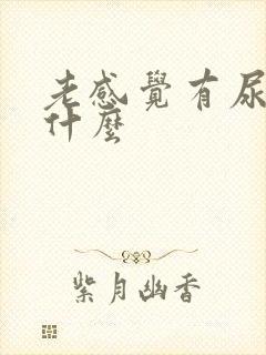 老感觉有尿意为什么