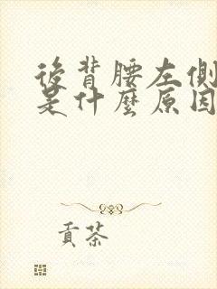 后背腰左侧疼痛是什么原因分析