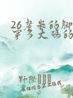 26厘米的脚长穿多大码的鞋