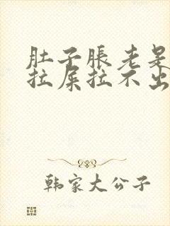 肚子胀老是放屁拉屎拉不出来