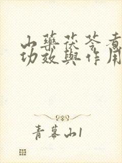 山药茯苓煮水的功效与作用