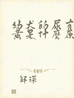 幼犬的尿有点偏黄是什么原因