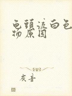 龟头流白色脓状物原因