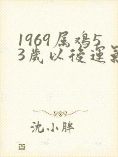 1969属鸡53岁以后运气