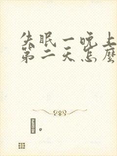 失眠一晚上没睡第二天怎么办