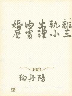 婚内出轨离婚怎么处理小三