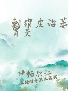 刺猬皮治萎缩性胃炎